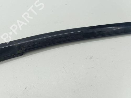 Door moulding trim BMW X5 (E70) xDrive 30 d | BP28898008C150 