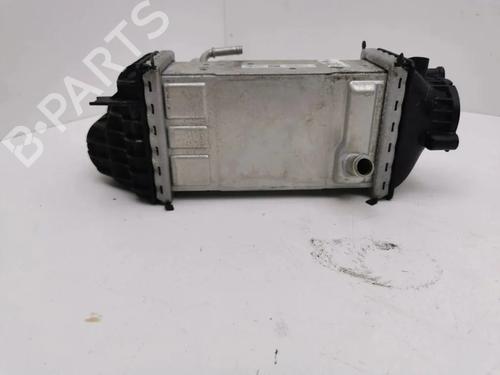 Intercooler SKODA OCTAVIA IV (NX3, NN3, PV3) 1.0 TSI | BP36201006M30 - Image 6