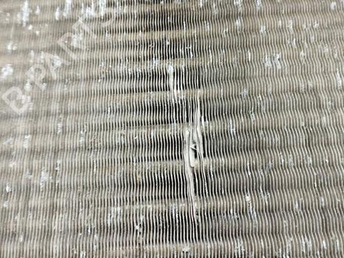 Water radiator MERCEDES-BENZ A-CLASS (W169) A 170 (169.032, 169.332) | BP28895674M31