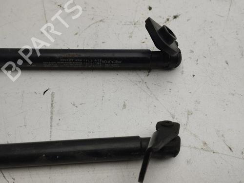 Tailgate lift support CHEVROLET CAPTIVA (C100, C140) 2.0 D 4WD | BP28892271C138 