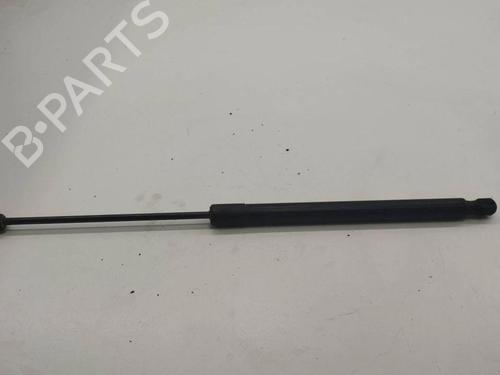 Tailgate lift support MERCEDES-BENZ B-CLASS Sports Tourer (W245) B 200 TURBO (245.234) | BP28904068C138 