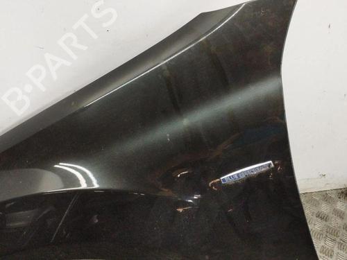 Left front fenders MERCEDES-BENZ M-CLASS (W164) ML 320 CDI 4-matic (164.122) | BP28900309C41 
