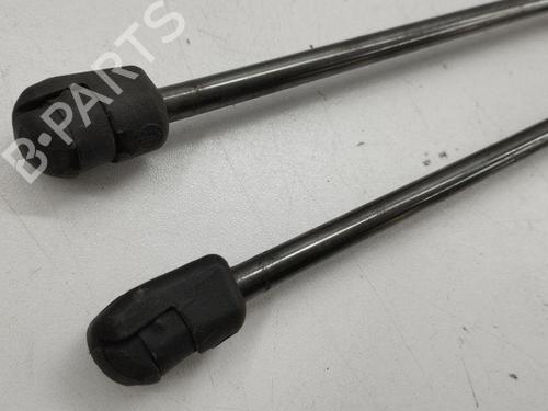 Tailgate lift support FORD KUGA I 2.0 TDCi 4x4 | BP28887913C138 