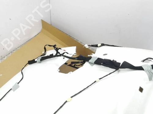 Interior roof RENAULT AUSTRAL E-TECH 200 Hybrid (HGM2) | BP32676444I12 - Image 2