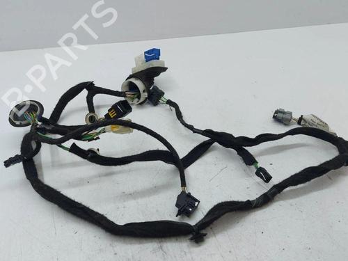 Ledningsnett CITROËN DS4 (NX_) 2.0 HDi 165 | BP28890154E16 