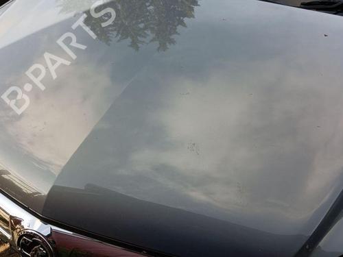 Hood OPEL ANTARA A (L07) 2.0 CDTI 4x4 | BP28893515C1 
