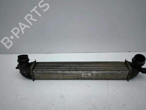 Intercooler MINI MINI COUNTRYMAN (R60) Cooper D (112 hp) 28858660