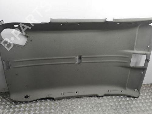 Used Interior roof TOYOTA RAV 4 II (_A2_) 2.0 D 4WD (CLA20_, CLA21_, CLA20R, CLA21R) (116 hp) 28866910