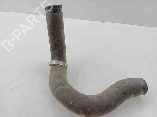 Pipe NISSAN X-TRAIL II (T31) 2.0 dCi 4x4 | BP28890335M125 