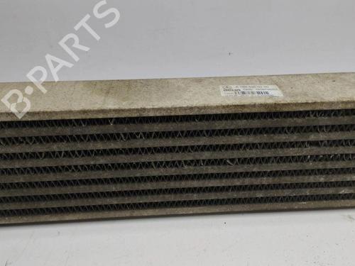 Intercooler MERCEDES-BENZ A-CLASS (W169) A 180 CDI (169.007, 169.307) | BP28902073M30 