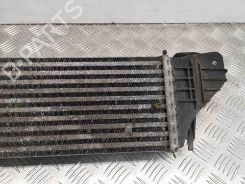 Intercooler BMW X5 (E53) 3.0 d | BP28886124M30 
