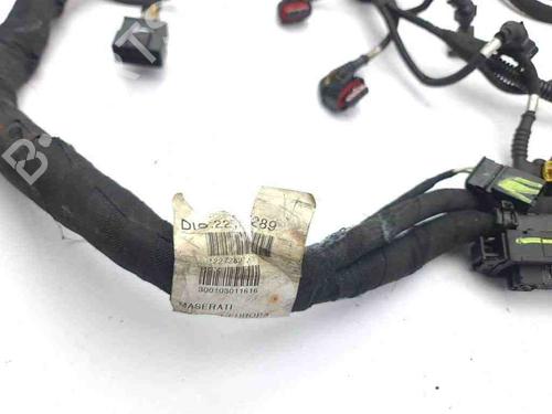 Wiring harness MASERATI QUATTROPORTE V 4.2 | BP28905607E16 