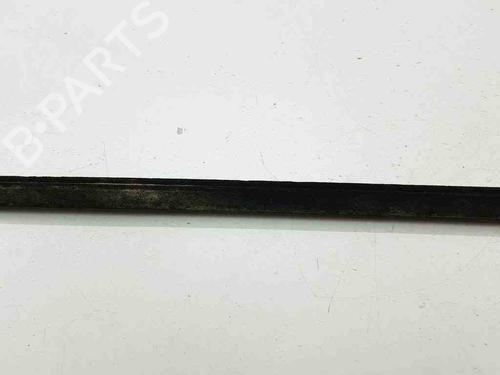 Door moulding trim BMW X5 (E53) 3.0 d | BP28886141C150
