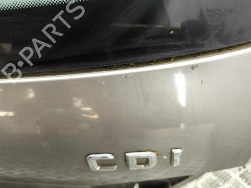 Tailgate MERCEDES-BENZ E-CLASS (W211) E 320 CDI (211.022) | BP28884599C6 
