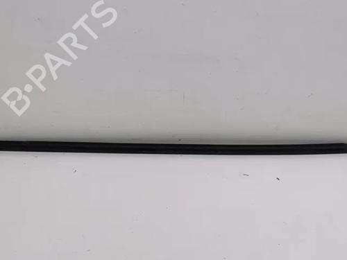 Door moulding trim VW ARTEON (3H7, 3H8) 2.0 TDI 4motion | BP28863604C150 