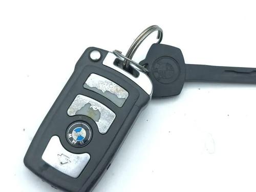 Elektronisk modul BMW 7 (E65, E66, E67) 730 d (218 hp) 31748554