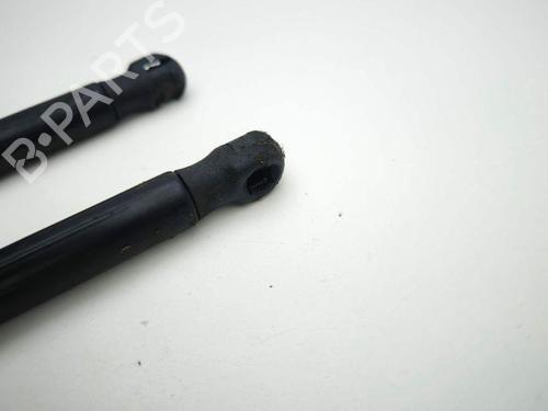 Hood lift support JAGUAR XE (X760) 2.0 D | BP29042894C139 