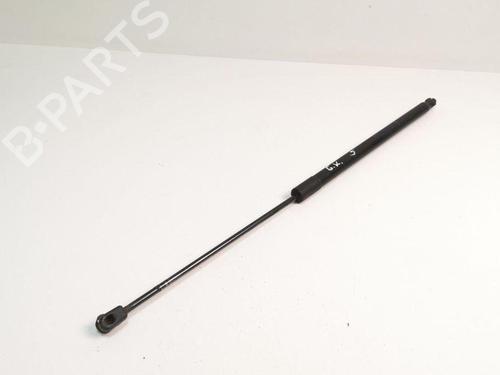 Used Tailgate lift support FORD GRAND C-MAX (DXA/CB7, DXA/CEU) 1.6 TDCi (115 hp) 28885159