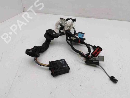 Used Wiring harness FORD C-MAX II (DXA/CB7, DXA/CEU) 2.0 TDCi (163 hp) 28887539