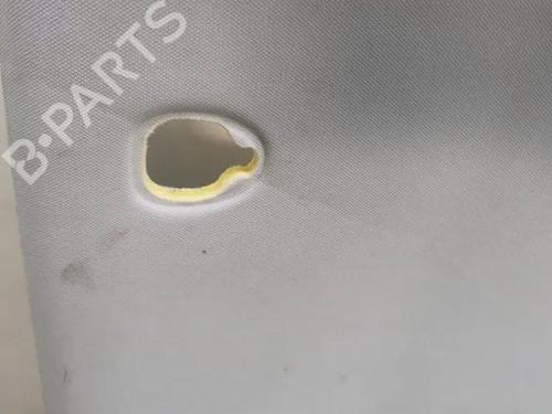 Interior roof PEUGEOT 508 I (8D_) 2.0 HDi | BP28849407I12 