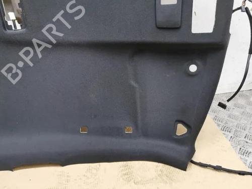 Interior roof NISSAN JUKE (F16_) 1.6 Hybrid | BP28864937I12 