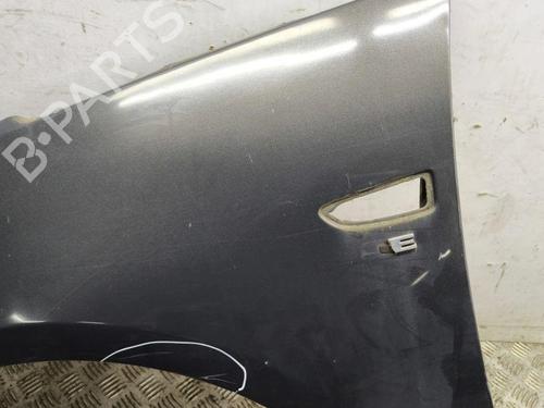Left front fenders OPEL ZAFIRA TOURER C (P12) 2.0 CDTi (75) | BP28894906C41 