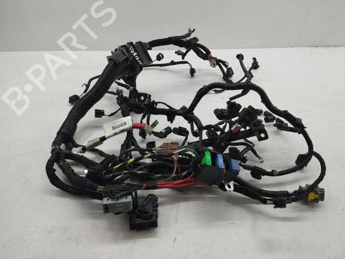 Used Wiring harness Wiring harness NISSAN JUKE (F16_) DIG-T 117 (117 hp) 40209287 40209287
