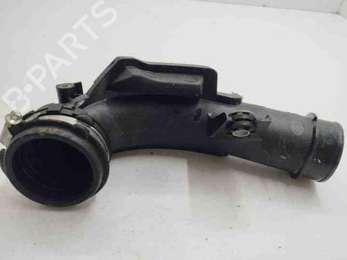 Used Pipe NISSAN JUKE (F16_) 1.0 (114 hp) 28854284