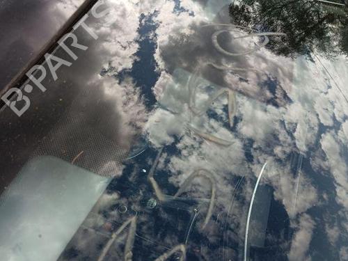 Windscreen PEUGEOT 508 I (8D_) 2.0 HDi | BP28849147C63 