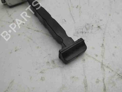 Hinge/Door check strap RENAULT MEGANE I (BA0/1_) 1.4 e (BA0E, BA0V) | BP28861625C146 