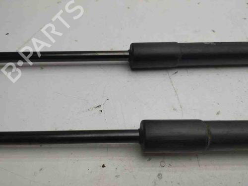 Hood lift support CHEVROLET CAPTIVA (C100, C140) 2.0 D 4WD | BP28892275C139