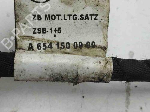 Wiring harness MERCEDES-BENZ E-CLASS (W213) E 220 d (213.004) | BP28901698E16