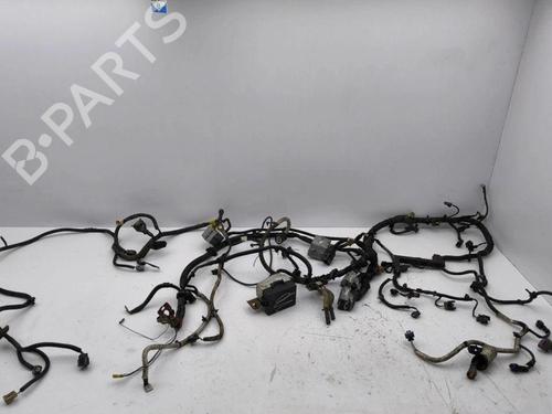 Kabelboom OPEL ANTARA A (L07) 2.2 CDTi (163 hp) 28896044