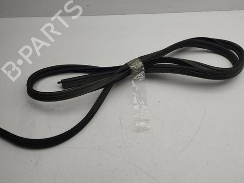 Rubber door seal NISSAN QASHQAI II (J11, J11_) 1.3 DIG-T | BP28897189C142 