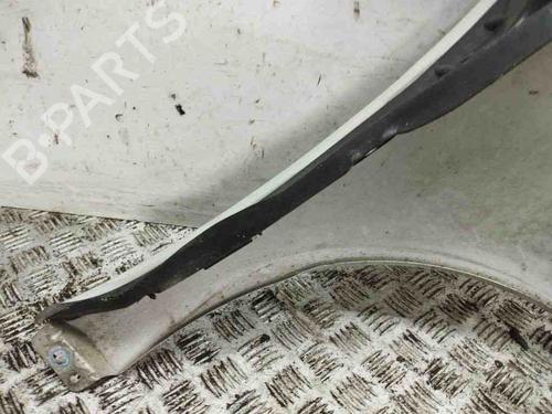 Left front fenders MERCEDES-BENZ A-CLASS (W169) A 180 CDI (169.007, 169.307) | BP28902043C41