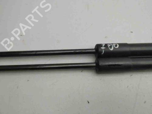 Tailgate lift support FORD FIESTA VII (HJ, HF) 1.0 EcoBoost | BP28899878C138