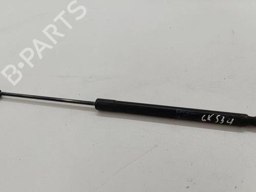 Tailgate lift support MERCEDES-BENZ B-CLASS Sports Tourer (W245) B 200 CDI (245.208) | BP28894203C138 