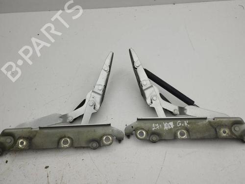 Hinge/Door check strap JAGUAR XF I (X250) 2.7 D | BP28888762C146 