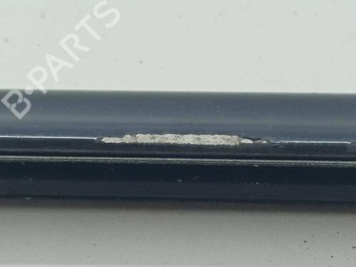 Door moulding trim BMW X5 (E70) xDrive 30 d | BP28898008C150 