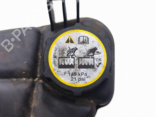 Expansion tank LAND ROVER RANGE ROVER EVOQUE (L538) 2.2 D 4x4 | BP29510068C120 