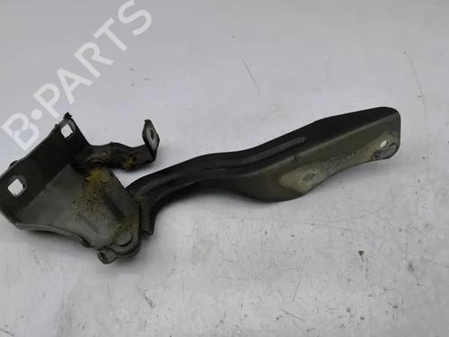 Hinge/Door check strap NISSAN QASHQAI II (J11, J11_) 1.5 dCi | BP28861935C146 