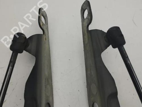 Hinge/Door check strap VOLVO XC60 II (246) D4 | BP28862393C146 