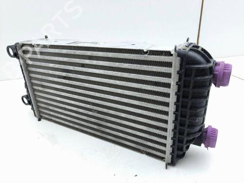 Used Intercooler PEUGEOT 2008 II (UD_, US_, UY_, UJ_, UR_, UC_) 1.2 PureTech 130 (USHNS, URHNS) (130 hp) 29510206