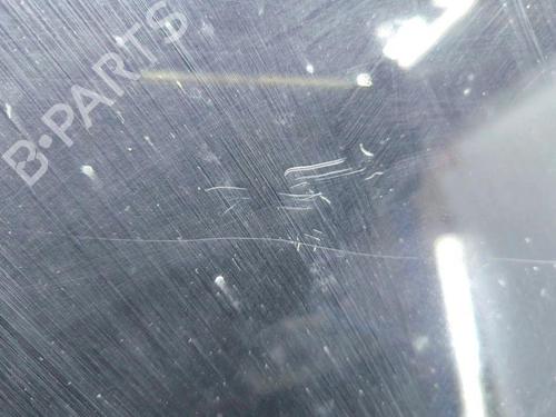 Hood LAND ROVER RANGE ROVER SPORT I (L320) 2.7 D 4x4 | BP28894724C1