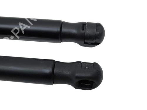 Tailgate lift support LAND ROVER RANGE ROVER SPORT I (L320) 2.7 D 4x4 | BP28894763C138 