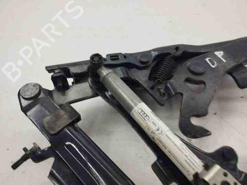 Hinge/Door check strap AUDI Q5 (8RB) 2.0 TDI quattro | BP28855466C146 