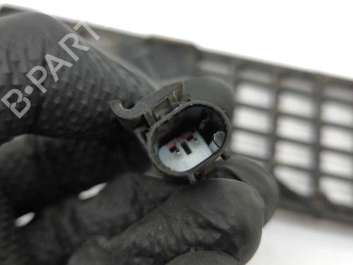 Grille BMW 3 (E46) 330 d | BP28905307C40 