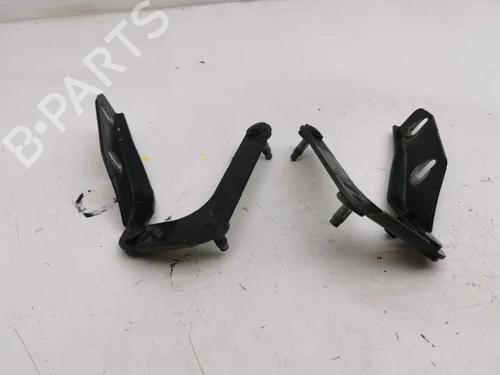 Hinge/Door check strap FORD C-MAX (DM2) 2.0 TDCi | BP28843112C146 