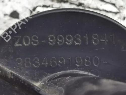 Grille CITROËN C4 III (BA_, BB_, BC_) ë-C4 (BCZKXC, BZCKSC) | BP28865077C40 
