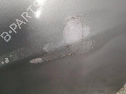 Left front door NISSAN 350Z Coupe (Z33) 3.5 (AAZ33) | BP28882126C2 